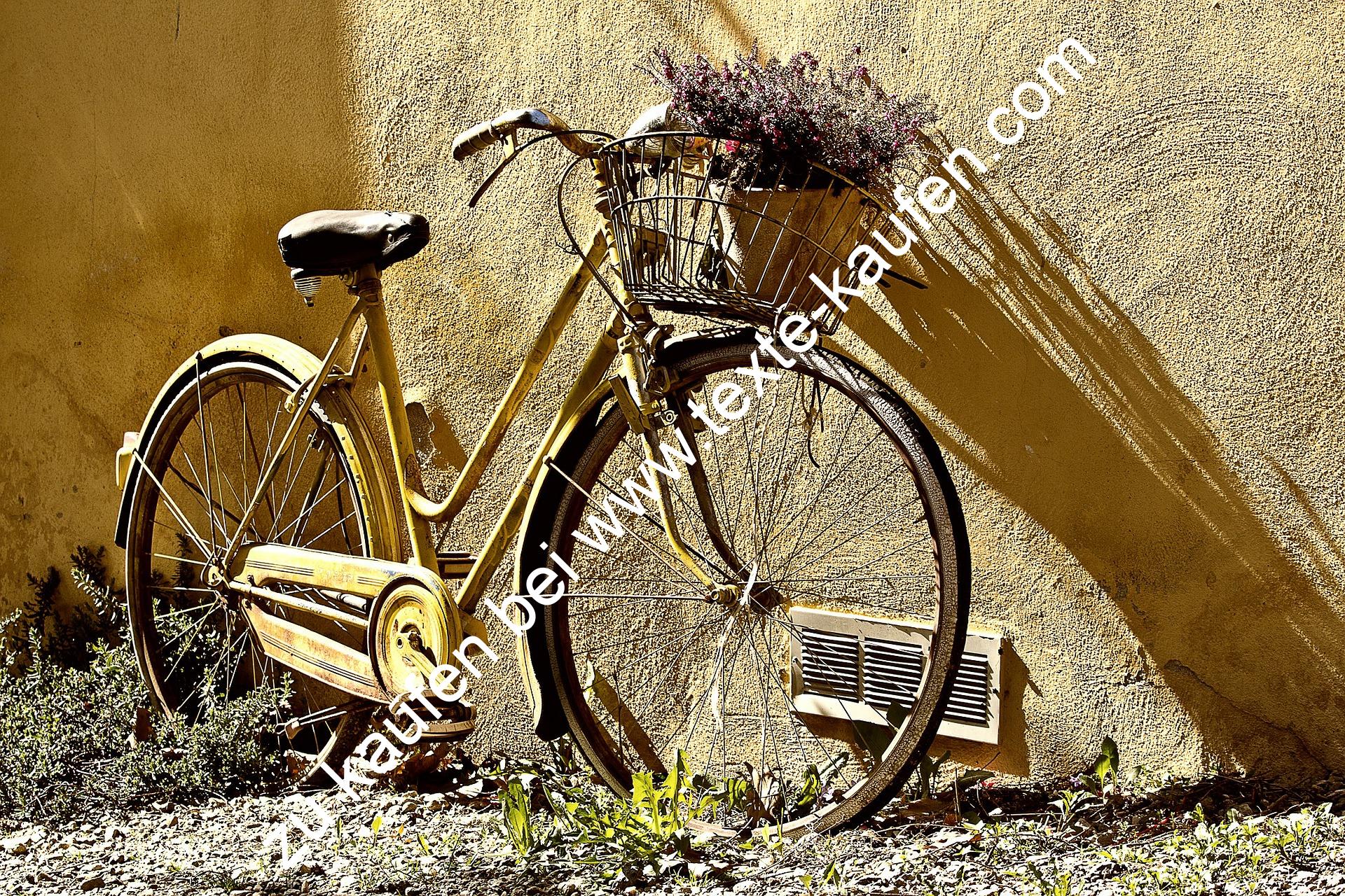 Altes Fahrrad Kaufen - Tierische Tapete