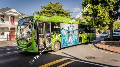 Bus mit grünem Anstrich