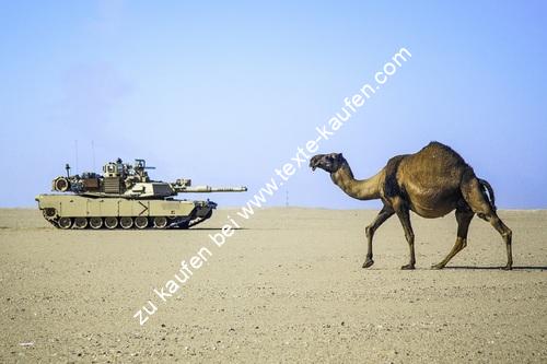 Ein Kamel in der Wüste gegenüber einen Panzer