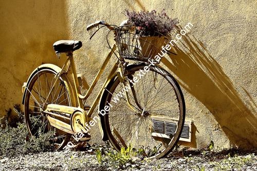Altes Fahrrad Blumenständer