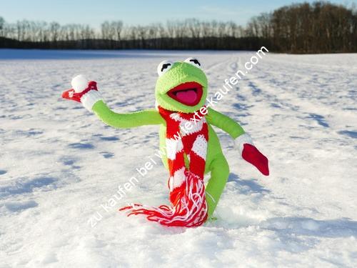 Frosch Kermit im Schnee